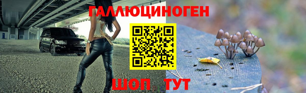 Полевской  Галлюциногенные грибы Cubensis  наркота  Вход с VPN 